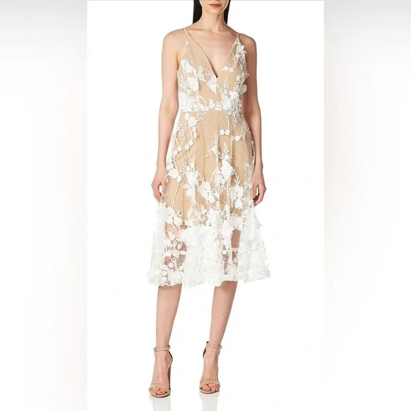 dress the population audrey floral Dress The Population Audrey Fit & Flare Sheer Lace Floral Appliqu Midi Dress
